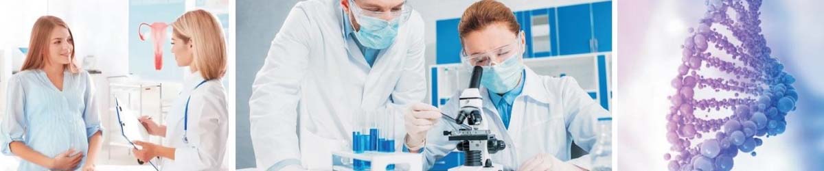 IVF In Cambodia.jpg IVF In Cambodia.jpg